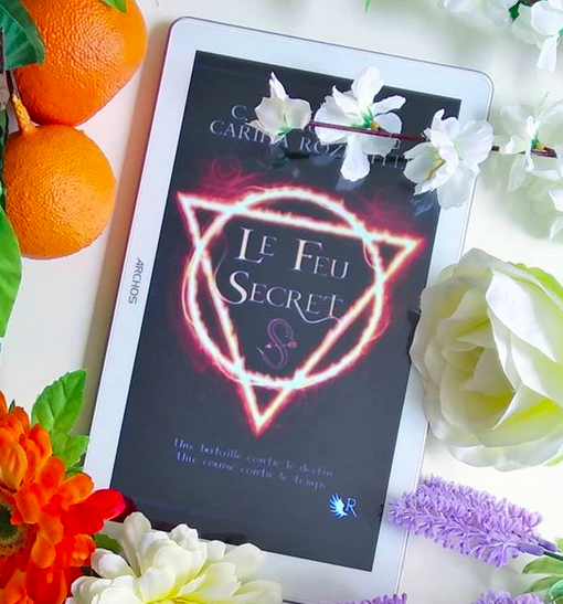 Chronique : Le feu secret, de C.J Daugherty et Carina Rozenfeld