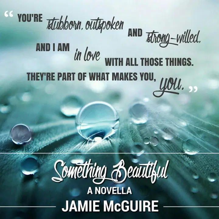 Chronique : Something Beautiful de Jamie McGuire
