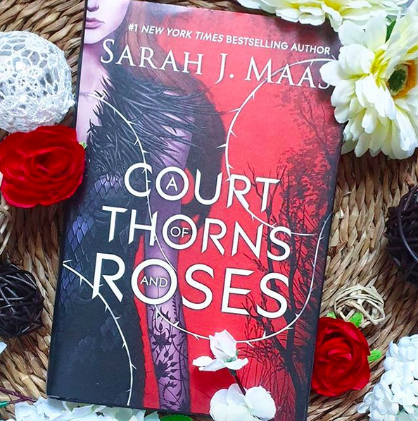 Chronique : A court of thorns and roses de Sarah J. Maas